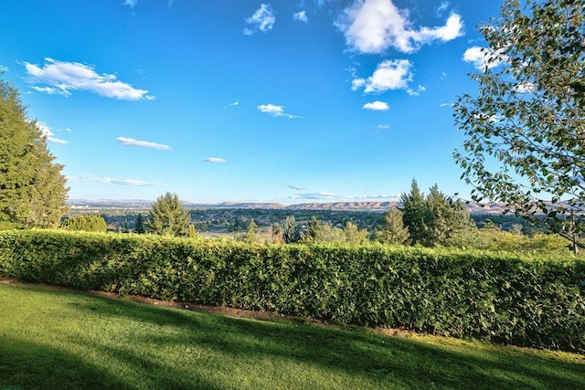 4706 Scenic Dr, Yakima, WA 98908 - view of green lawn