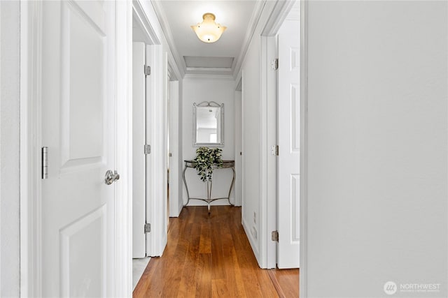 hall featuring light wood-style flooring and crown molding