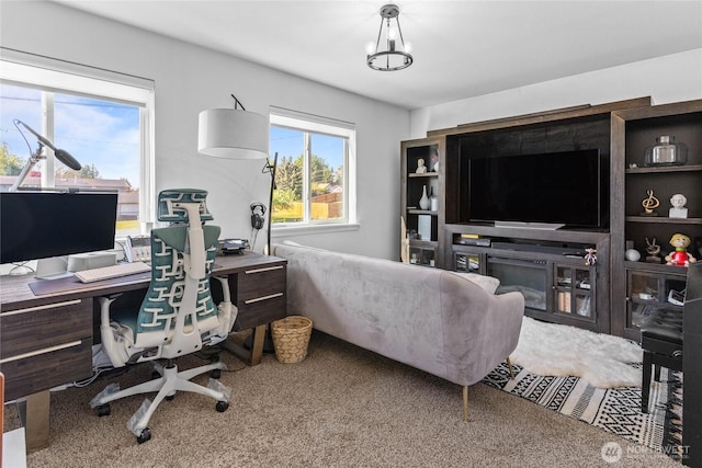 2080 Thornton St, Ferndale, WA 98248 - office with carpet flooring