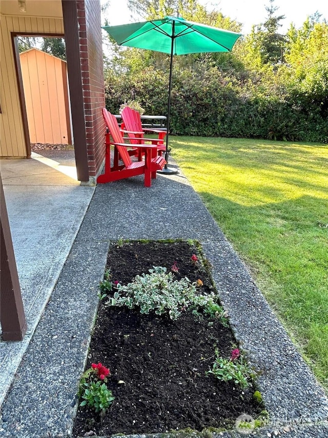 view of grassy yard featuring a patio