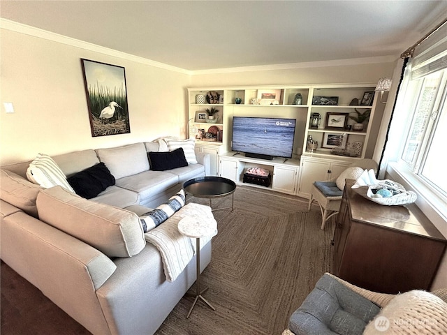 living area featuring ornamental molding