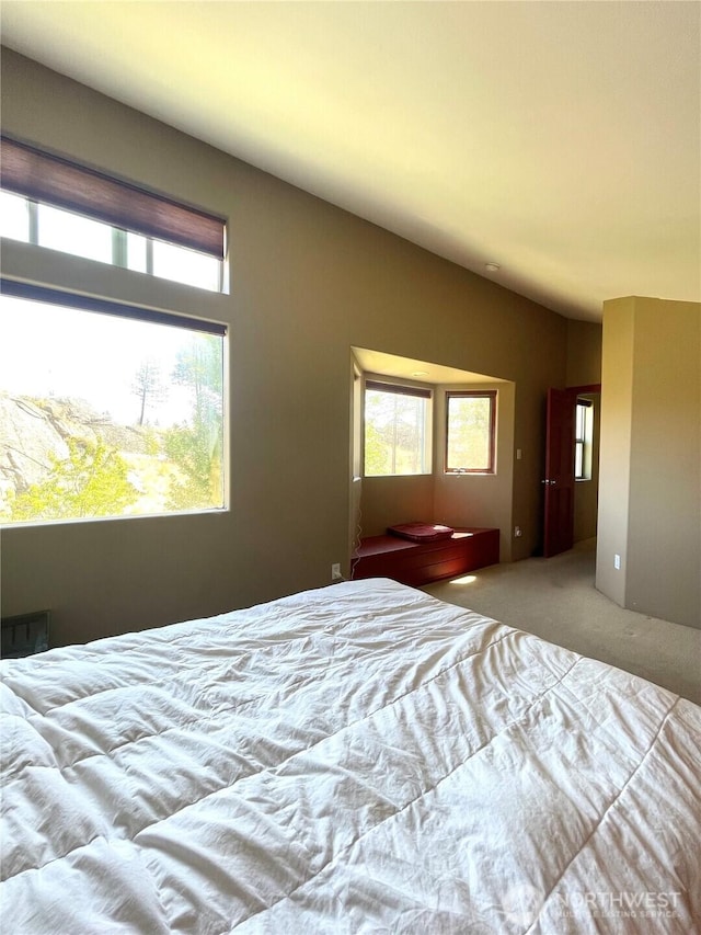 bedroom with carpet