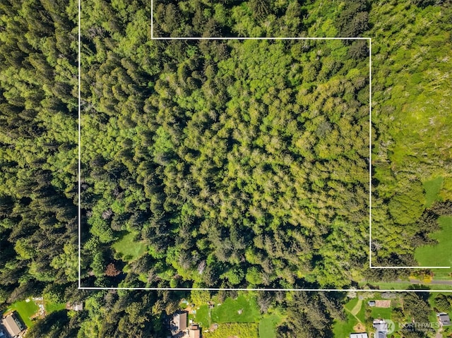6075 Old Woods Ln NE, Bainbridge Island, WA 98110 - photo 1