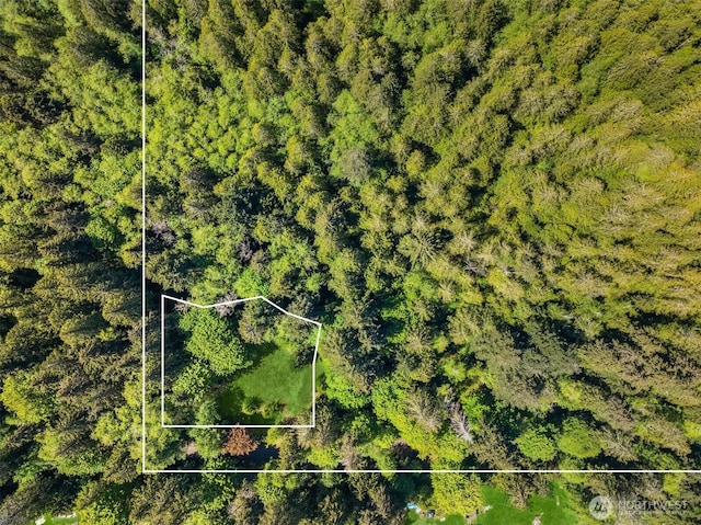6075 Old Woods Ln NE, Bainbridge Island, WA 98110 - photo 2