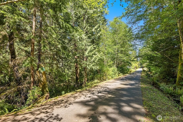 6075 Old Woods Ln NE, Bainbridge Island, WA 98110 - photo 3