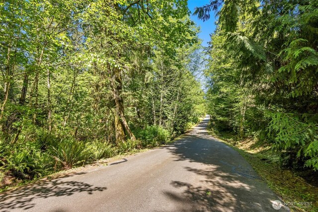 6075 Old Woods Ln NE, Bainbridge Island, WA 98110 - photo 4