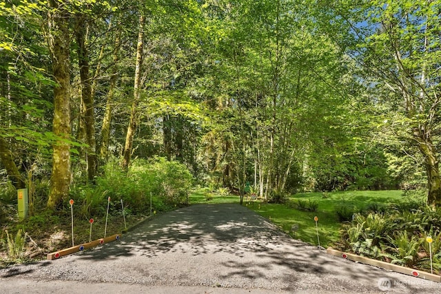 6075 Old Woods Ln NE, Bainbridge Island, WA 98110 - photo 5