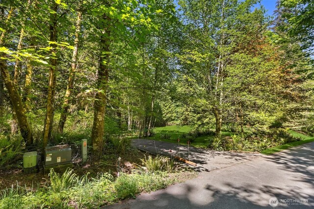 6075 Old Woods Ln NE, Bainbridge Island, WA 98110 - photo 6