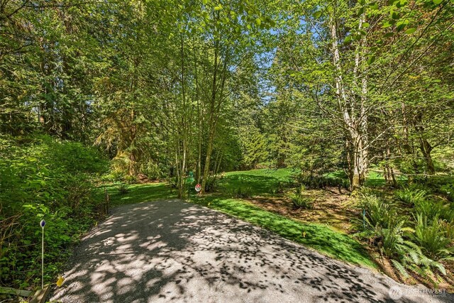 6075 Old Woods Ln NE, Bainbridge Island, WA 98110 - photo 7
