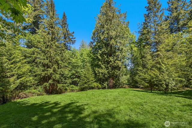 6075 Old Woods Ln NE, Bainbridge Island, WA 98110 - photo 8