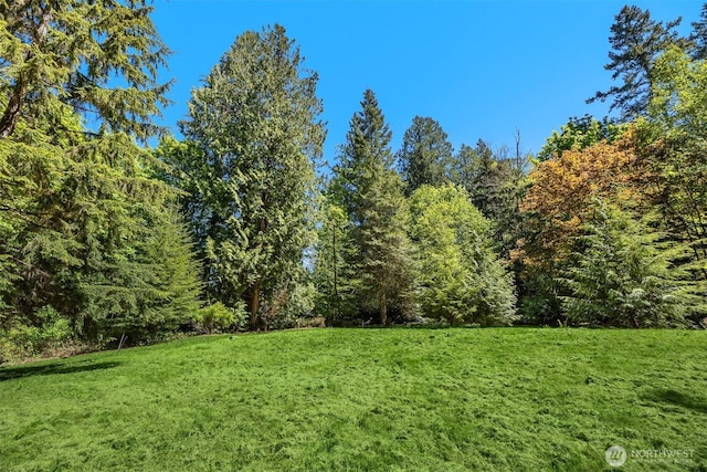 6075 Old Woods Ln NE, Bainbridge Island, WA 98110 - photo 9