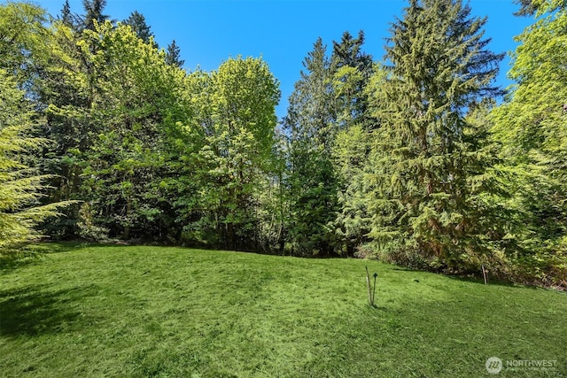 6075 Old Woods Ln NE, Bainbridge Island, WA 98110 - photo 10