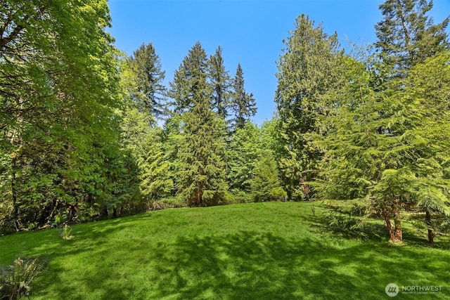 6075 Old Woods Ln NE, Bainbridge Island, WA 98110 - photo 11