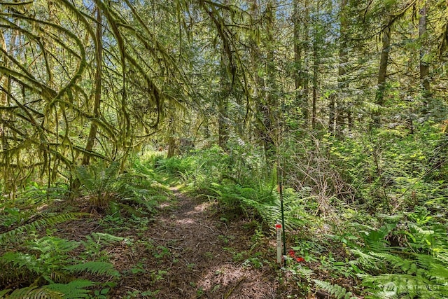 6075 Old Woods Ln NE, Bainbridge Island, WA 98110 - photo 12