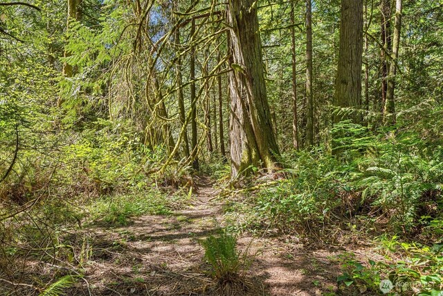 6075 Old Woods Ln NE, Bainbridge Island, WA 98110 - photo 13