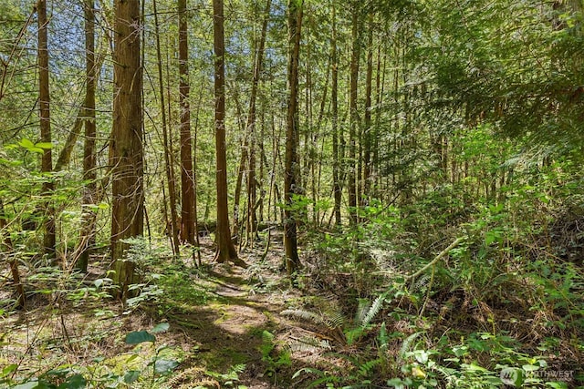 6075 Old Woods Ln NE, Bainbridge Island, WA 98110 - photo 14
