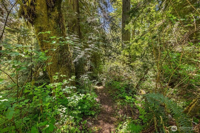 6075 Old Woods Ln NE, Bainbridge Island, WA 98110 - photo 15