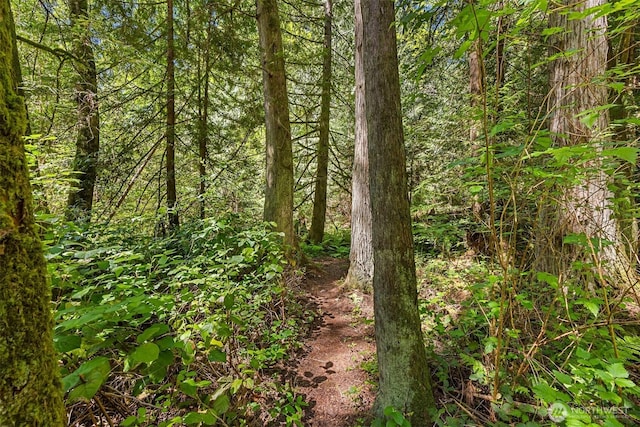 6075 Old Woods Ln NE, Bainbridge Island, WA 98110 - photo 16