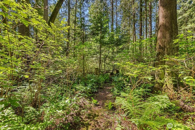 6075 Old Woods Ln NE, Bainbridge Island, WA 98110 - photo 17