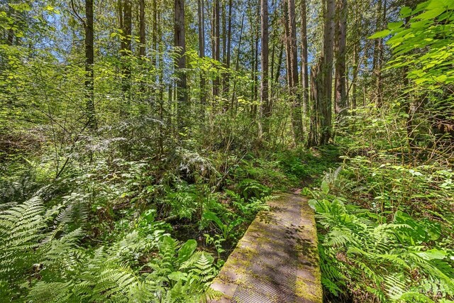 6075 Old Woods Ln NE, Bainbridge Island, WA 98110 - photo 18
