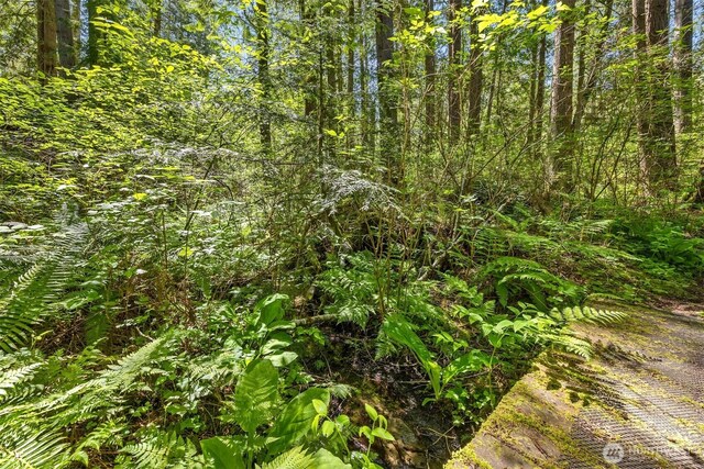 6075 Old Woods Ln NE, Bainbridge Island, WA 98110 - photo 19