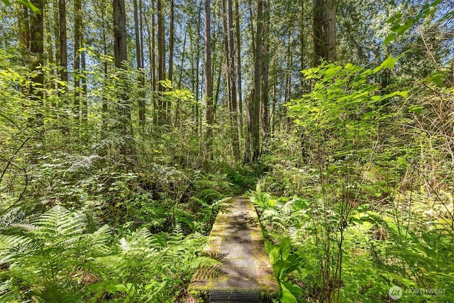 6075 Old Woods Ln NE, Bainbridge Island, WA 98110 - photo 20