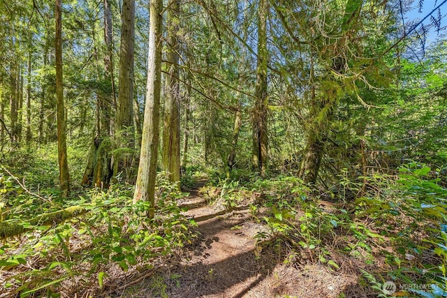 6075 Old Woods Ln NE, Bainbridge Island, WA 98110 - photo 21