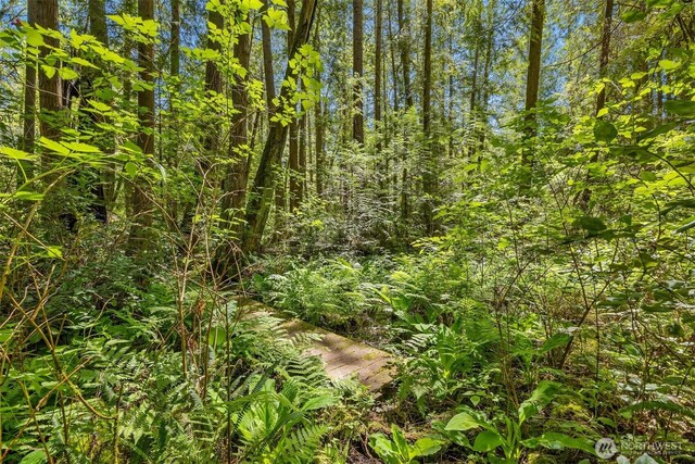 6075 Old Woods Ln NE, Bainbridge Island, WA 98110 - photo 22