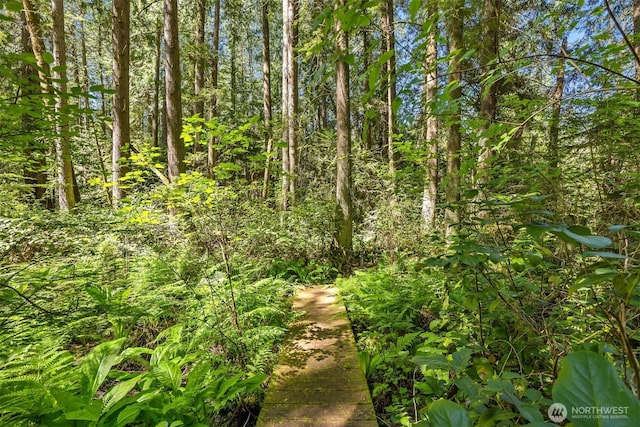 6075 Old Woods Ln NE, Bainbridge Island, WA 98110 - photo 23