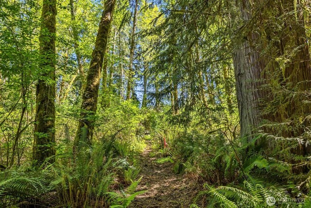 6075 Old Woods Ln NE, Bainbridge Island, WA 98110 - photo 24