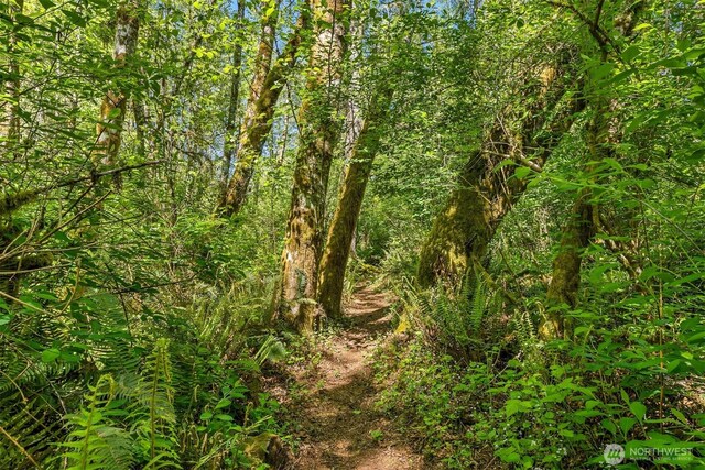 6075 Old Woods Ln NE, Bainbridge Island, WA 98110 - photo 25