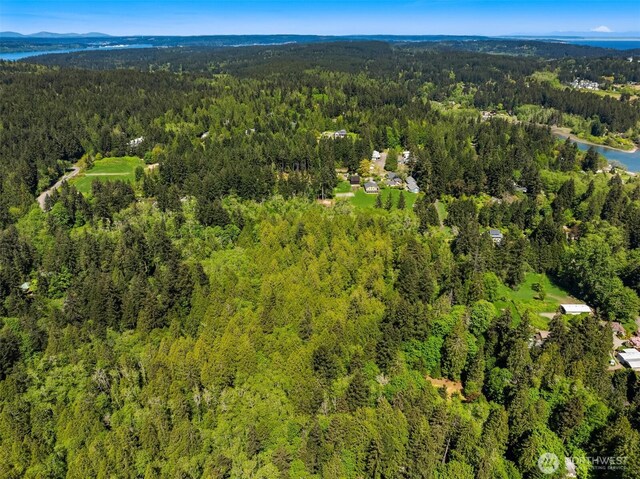 6075 Old Woods Ln NE, Bainbridge Island, WA 98110 - photo 26