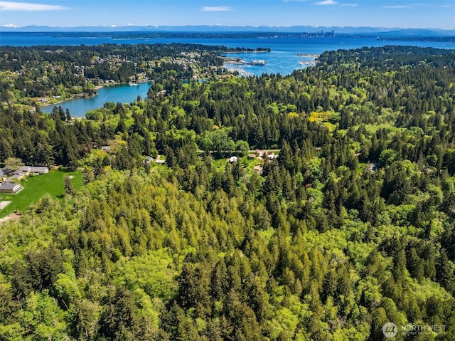 6075 Old Woods Ln NE, Bainbridge Island, WA 98110 - photo 27
