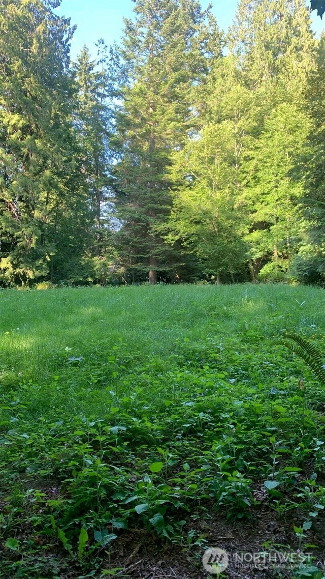 6075 Old Woods Ln NE, Bainbridge Island, WA 98110 - photo 30