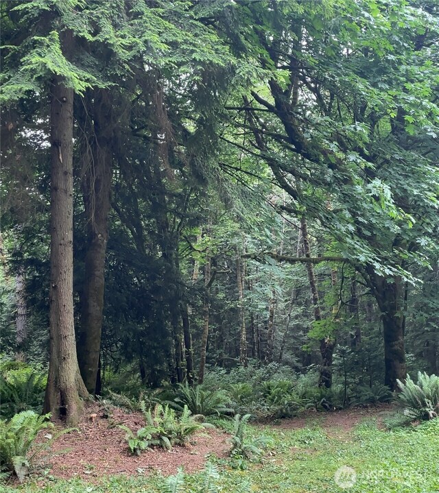 6075 Old Woods Ln NE, Bainbridge Island, WA 98110 - photo 33