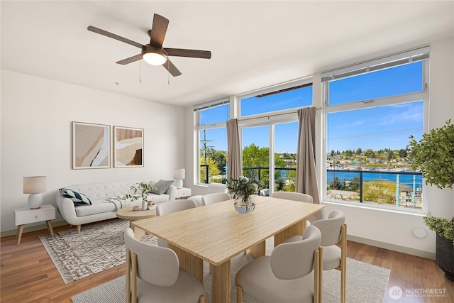 2960 Eastlake Ave E Unit 307, Seattle, WA 98102 - dining space featuring plenty of natural light, a ceiling fan, light wood finished floors, and baseboards