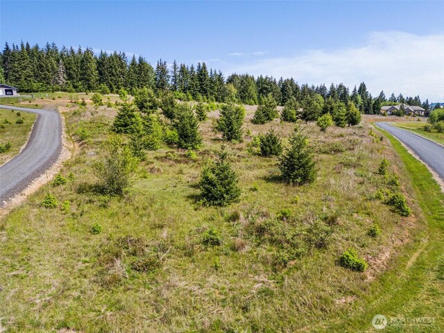 0 Brockway Rd, Chehalis, WA 98532