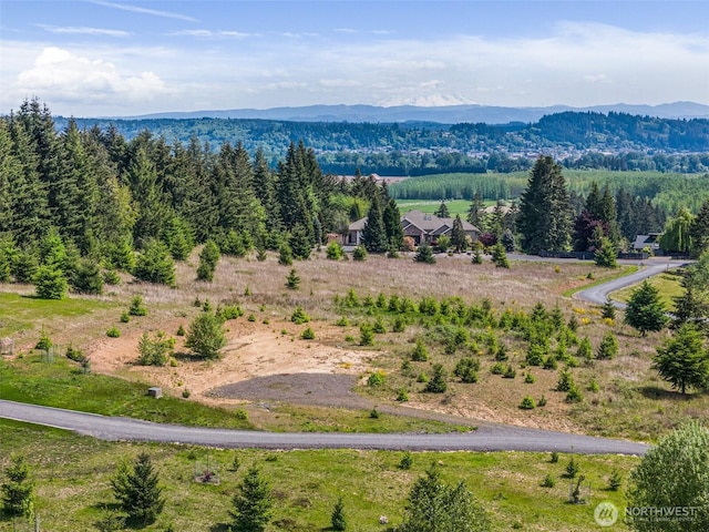 0 Brockway Rd, Chehalis, WA 98532