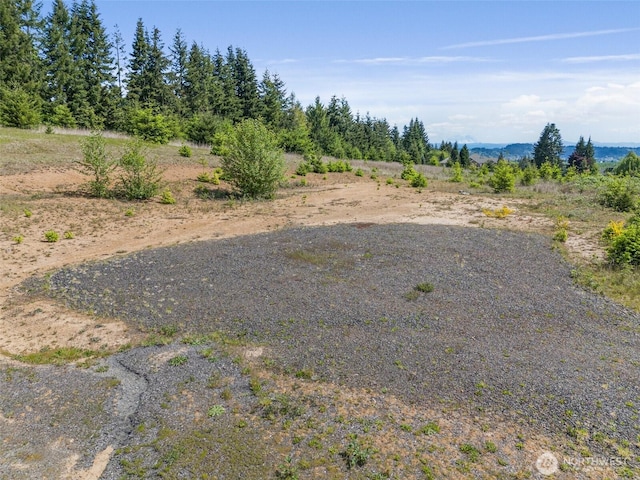 0 Brockway Rd, Chehalis, WA 98532