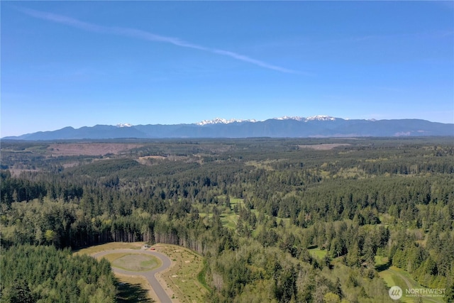 aerial overview of property's location with a heavily wooded area and mountains