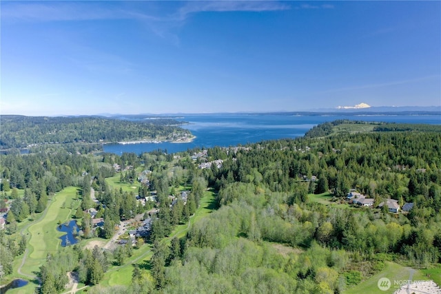 aerial overview of property's location featuring a heavily wooded area and a large body of water