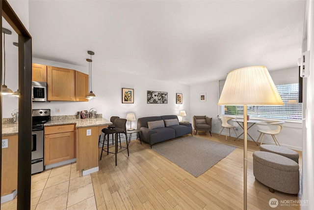 living room featuring light wood finished floors