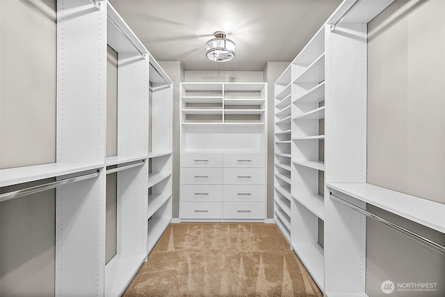30429 121st Pl SE, Auburn, WA 98092 - walk in closet with light carpet