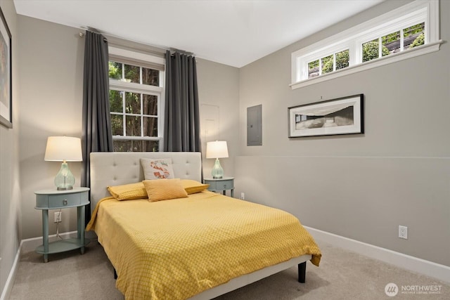carpeted bedroom featuring baseboards and electric panel