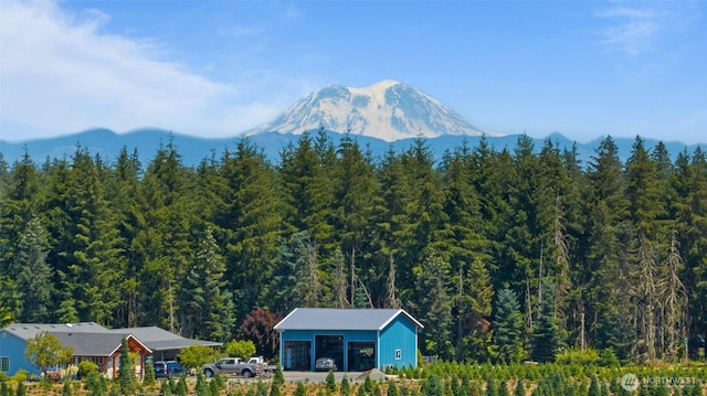 0 Nelson Rd, Winlock, WA 98596