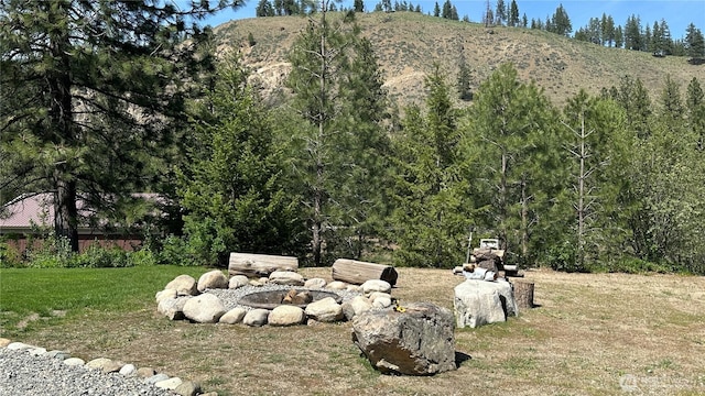 26 Newby Creek Rd, Twisp, WA 98856 - view of mountain backdrop