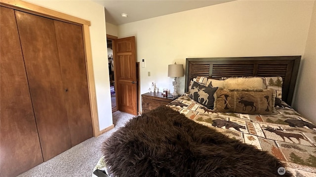 26 Newby Creek Rd, Twisp, WA 98856 - bedroom with carpet floors and a closet