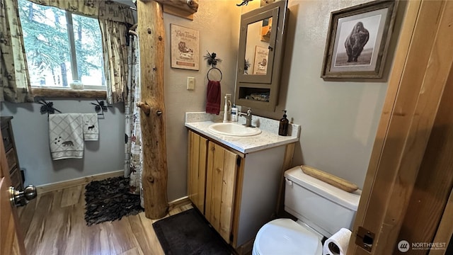 26 Newby Creek Rd, Twisp, WA 98856 - bathroom with wood finished floors, toilet, and vanity