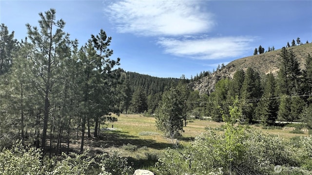 26 Newby Creek Rd, Twisp, WA 98856 - view of mountain background featuring a forest