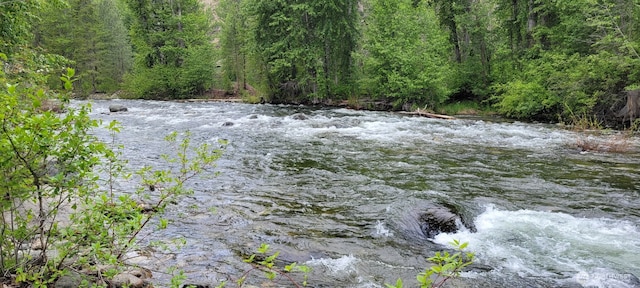 26 Newby Creek Rd, Twisp, WA 98856 - water view featuring a heavily wooded area